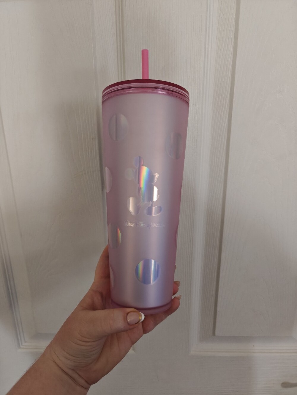 STARBUCKS Walt Disney World Tumbler